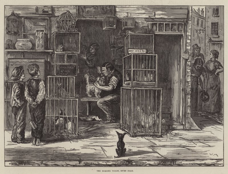 Morgentoilettet, syv skiver af William Bazett Murray