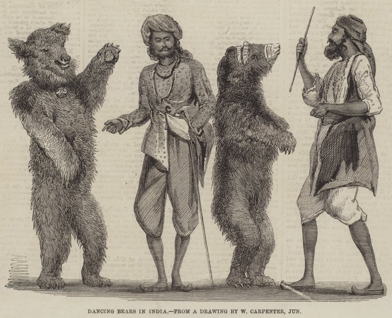 Dansende bjørne i Indien af William Carpenter