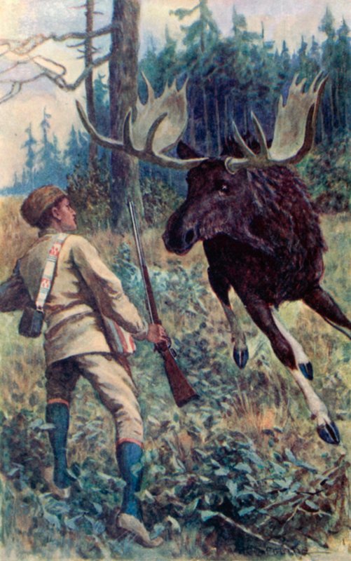 Elgen sprang efter ham af William Henry Charles Groome