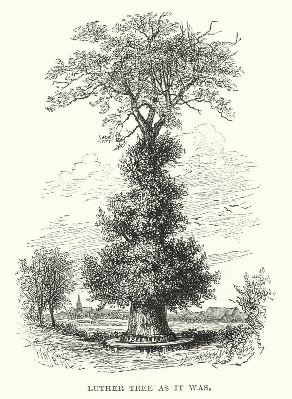 Luther Tree, som det var af William Henry James after Boot