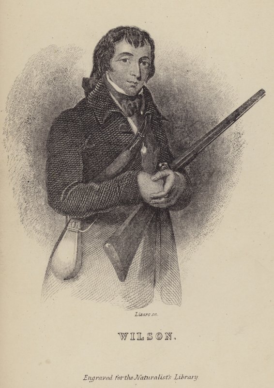 Alexander Wilson, skotsk ornitolog af William Home Lizars