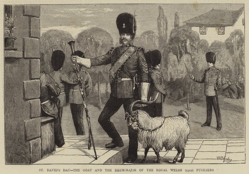 St. Davids dag, geden og trommemajoren fra Royal Welsh (23.) Fusiliers af William III Bromley