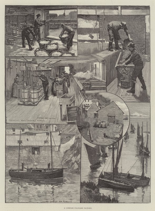 En Cornish Pilchard-fabrik af William Mouat Loudan