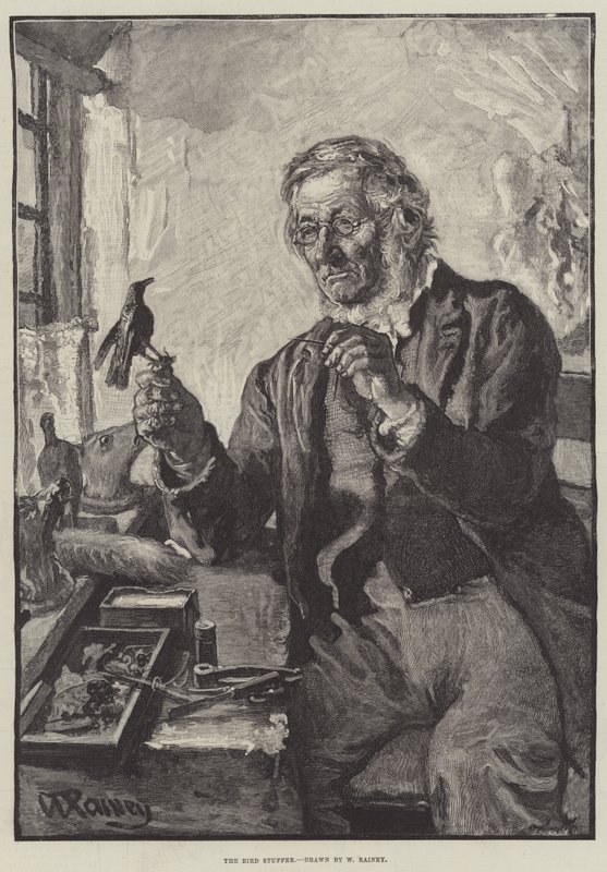 Fuglestopperen af William Rainey