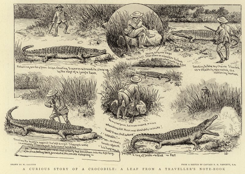 En nysgerrig historie om en krokodille, et blad fra en rejsendes notesbog af William Ralston