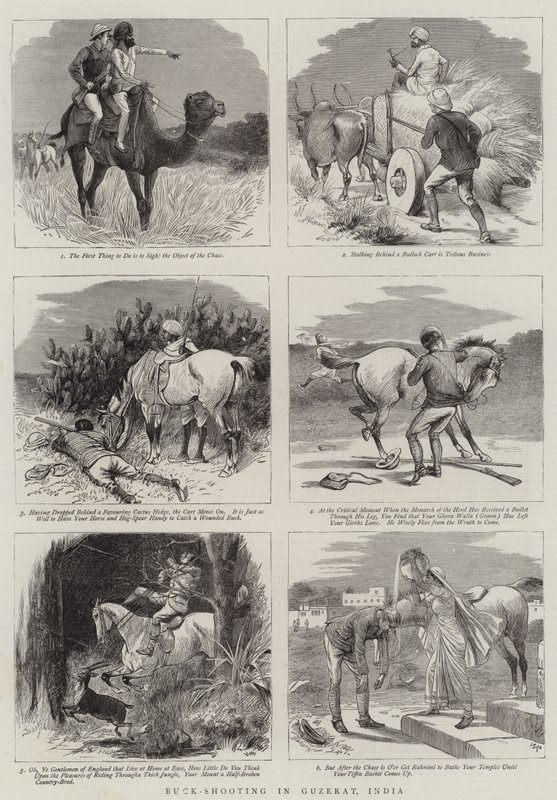 Bukkeskydning i Guzerat, Indien af William Ralston