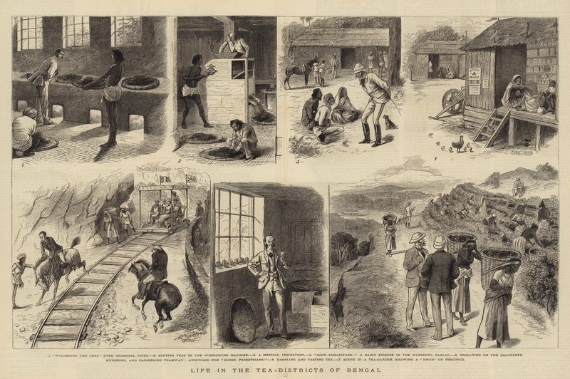 Livet i te-distrikterne i Bengal af William Ralston