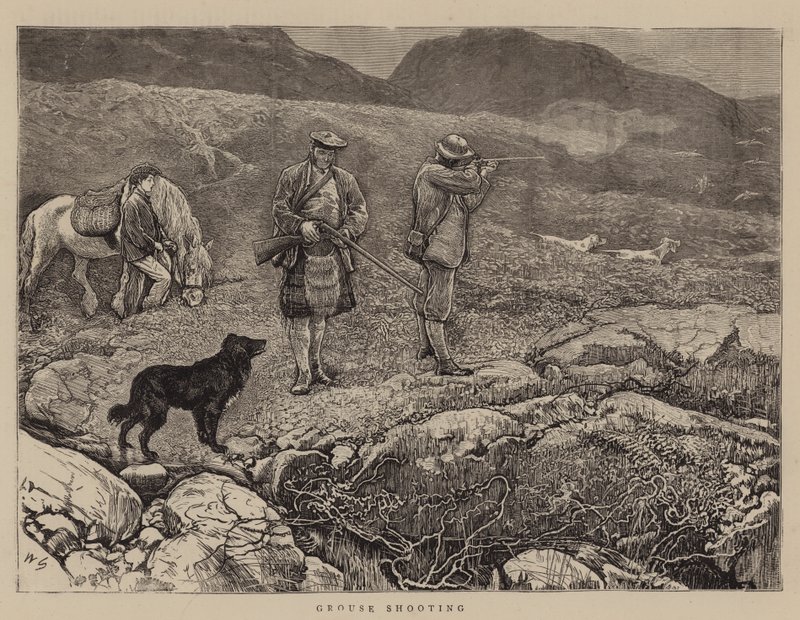 Rypeskydning af William Small
