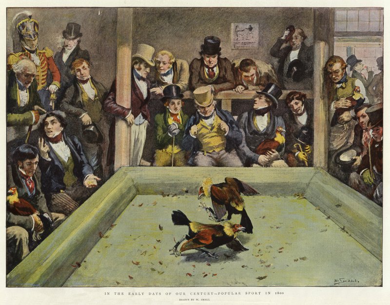 I de tidlige dage af vort århundrede, populær sport i 1800 af William Small