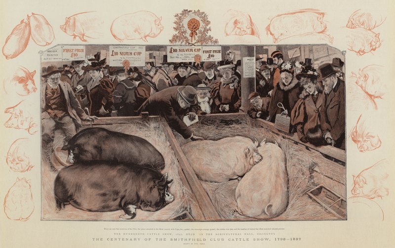 Hundredåret for Smithfield Club Cattle Show, 1798-1897 af William Small