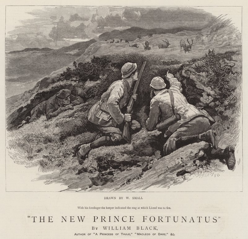 Den nye prins Fortunatus af William Small