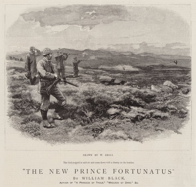 Den nye prins Fortunatus af William Small