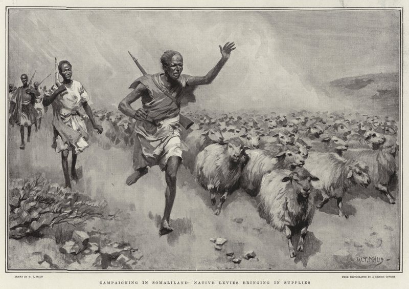 Kampagner i Somaliland Indfødte afgifter, der bringer forsyninger ind af William T. Maud