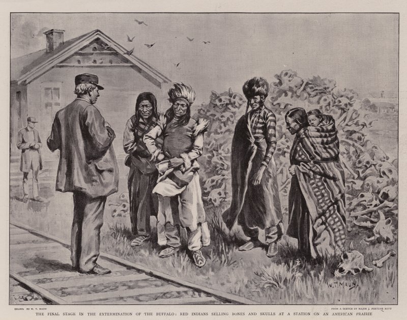 Den sidste fase i udryddelsen af bøflerne, indianere sælger knogler og kranier på en station på en amerikansk parforce af William T. Maud
