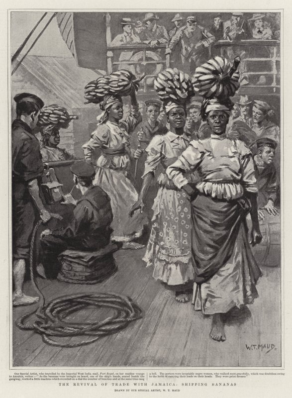 Genoplivningen af handel med Jamaica, forsendelse af bananer af William T. Maud