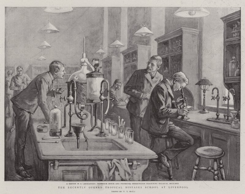 Den nyligt åbnede Tropical Diseases School i Liverpool af William T. Maud