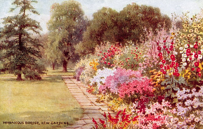 Urteagtig grænse, Kew Gardens af William Affleck Carruthers