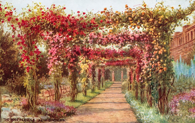 Rose Pergola, Kew Gardens af William Affleck Carruthers
