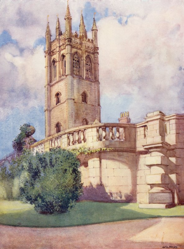 Magdalena Tårnet fra Botanisk Have (farvelitografi) af William Ainsworth Wildman
