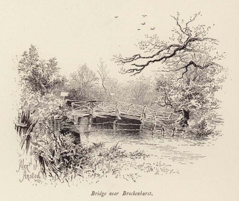 Bro nær Brockenhurst (gravering) af William Alexander Ansted
