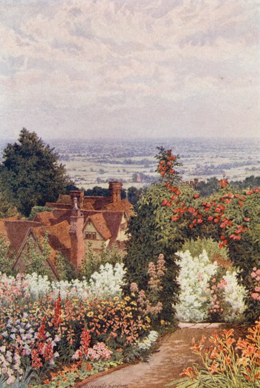 The Weald fra Doctor