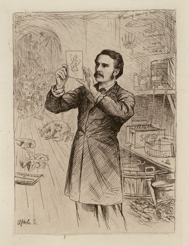 James Cossar Ewart, professor i naturhistorie (kobberstik) af William Brassey (after) Hole