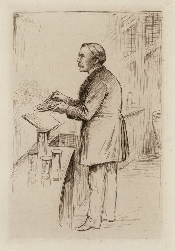 William Smith Greenfield, professor i almen patologi (gravering) af William Brassey (after) Hole