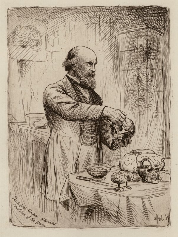 William Turner, professor i anatomi (kobberstik) af William Brassey (after) Hole