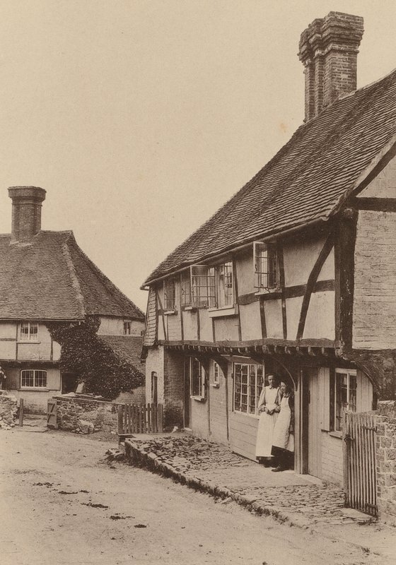 Ved Byworth, nær Petworth, Sussex (s/h-foto) af William Galsworthy Davie