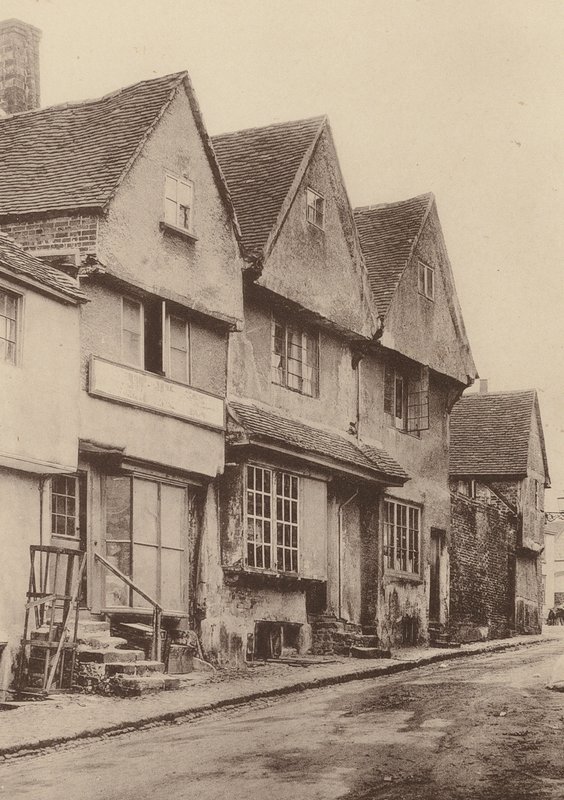 Ved Midhurst, West Sussex (s/h-foto) af William Galsworthy Davie