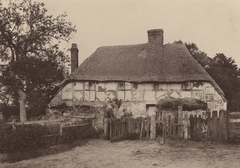 Nær Fittleworth, West Sussex (s/h-foto) af William Galsworthy Davie