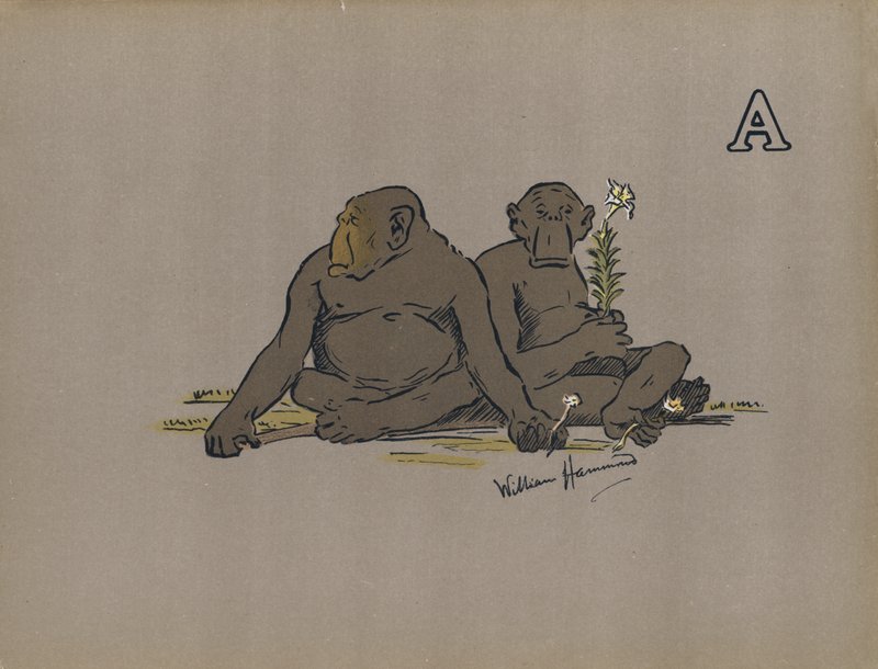 Bogstav A, Æstetiske antropoide aber, der indtager unormalt apatiske holdninger (farve litho) af William Hammond