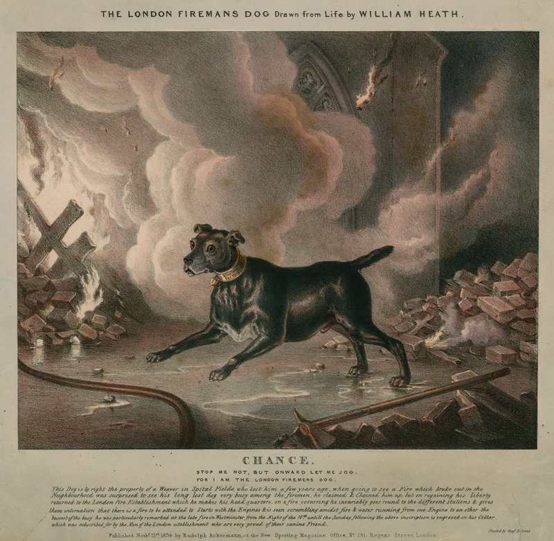 Brandmandens hund fra London af William Heath