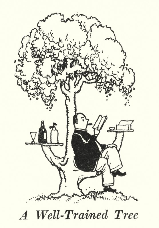 Et veltrænet træ (litho) af William Heath Robinson