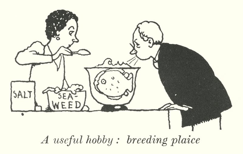 En nyttig hobby, avl rødspætte (litho) af William Heath Robinson