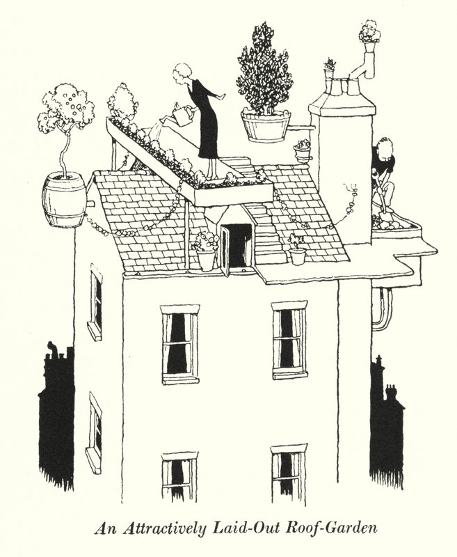 En attraktivt anlagt taghave (litho) af William Heath Robinson