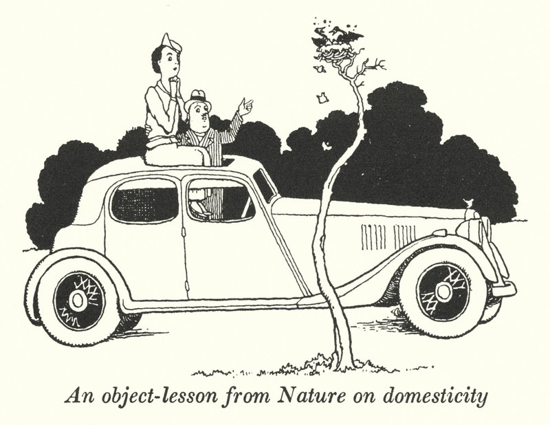 En genstandslektion fra naturen om husholdning (litho) af William Heath Robinson
