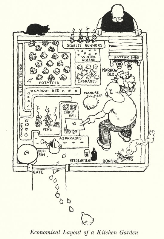 Økonomisk layout af en køkkenhave (litho) af William Heath Robinson