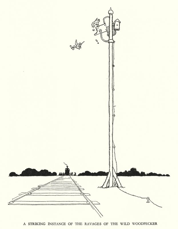 Illustration til Railway Ribaldry af W Heath Robinson (litho) af William Heath Robinson