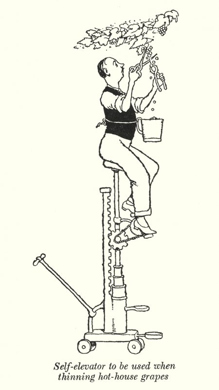 Selvelevator til brug ved udtynding af hothouse-druer (litho) af William Heath Robinson