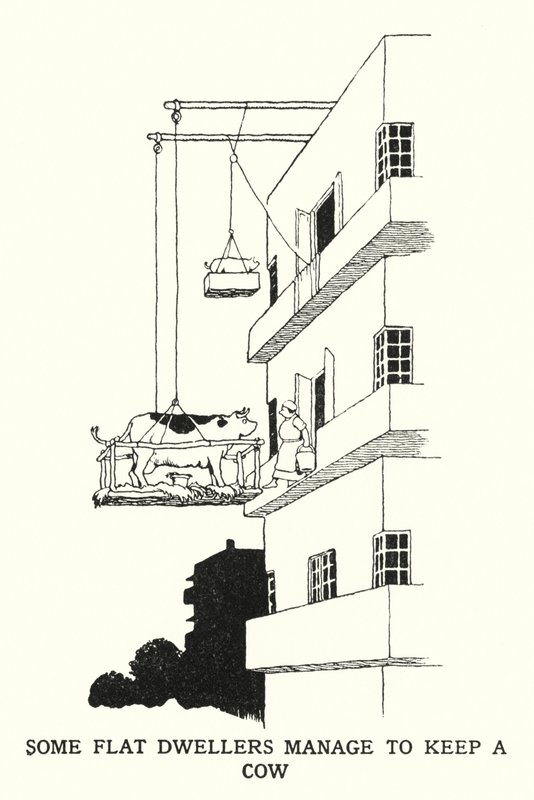 Nogle flade beboere formår at holde en ko (litho) af William Heath Robinson