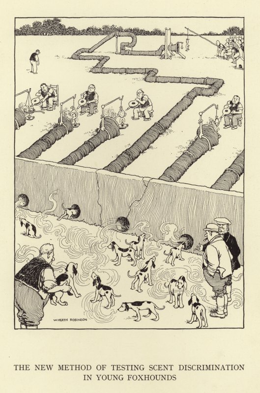 Den nye metode til test af duftdiskrimination hos unge rævehunde af William Heath Robinson