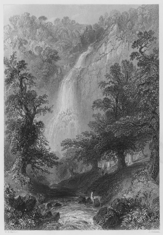 Powerscourt Fall (gravering) af William Henry (after) Bartlett