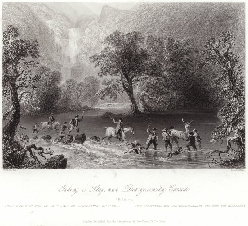 Tager en kronhjort i nærheden af Derrycunnihy af William Henry Bartlett