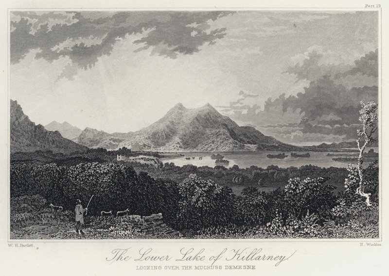 The Lower Lake of Killarney, med udsigt over Mucruss Demesne (gravering) af William Henry Bartlett