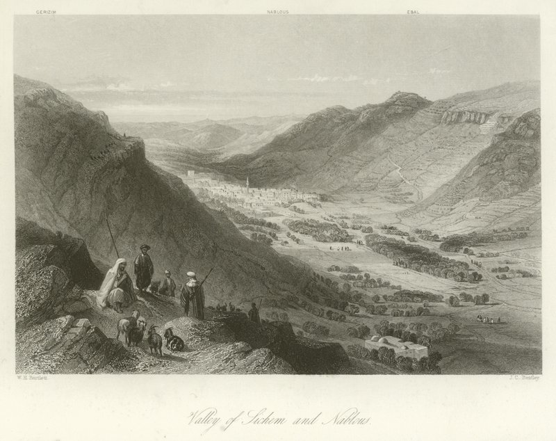 Sichem-dalen og Nablus-dalen, Palæstina af William Henry Bartlett