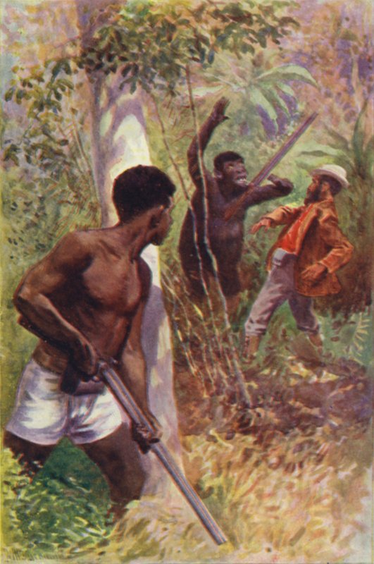 Illustration til The Gorilla Hunters af RM Ballantyne (farve litho) af William Henry Charles Groome