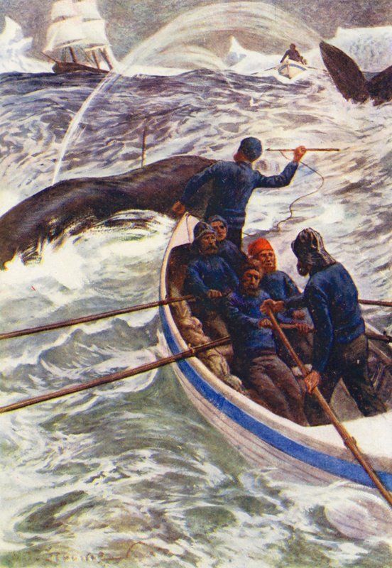 Illustration til The World of Ice or the Whaling Cruise of The Dolphin (farvelitografi) af William Henry Charles Groome