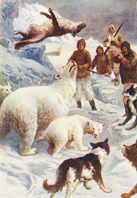 Illustration til The World of Ice or the Whaling Cruise of The Dolphin (farvelitografi) af William Henry Charles Groome