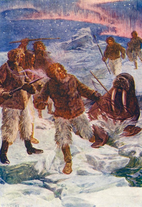 Illustration til The World of Ice or the Whaling Cruise of The Dolphin (farvelitografi) af William Henry Charles Groome